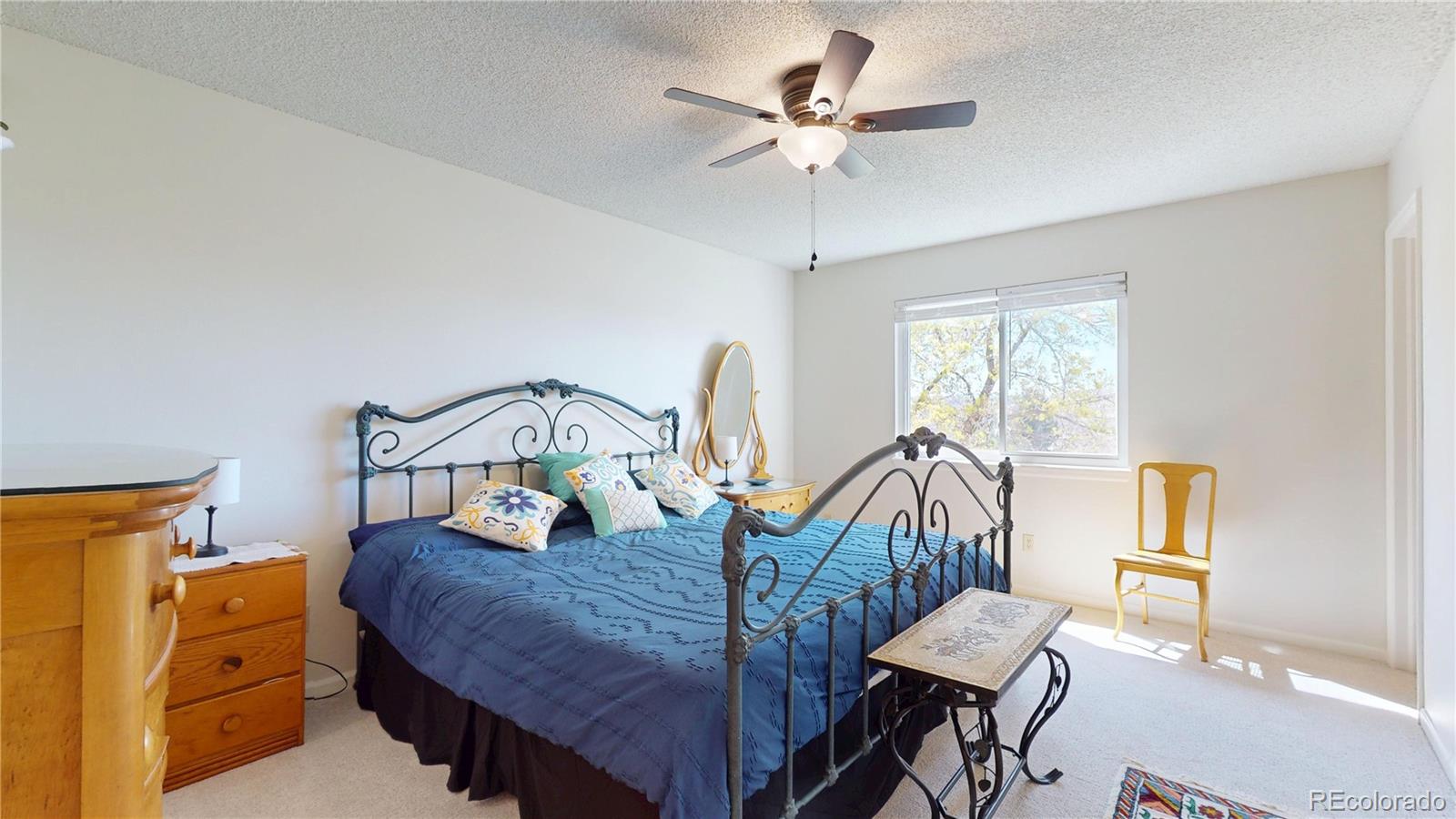 981 Oakwood Drive Castle Rock CO 80104