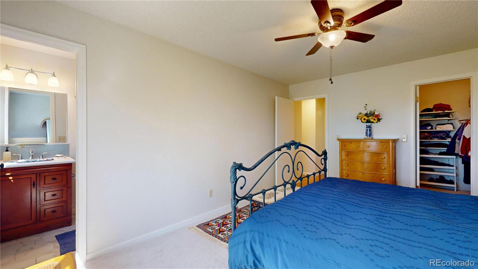 981 Oakwood Drive Castle Rock CO 80104