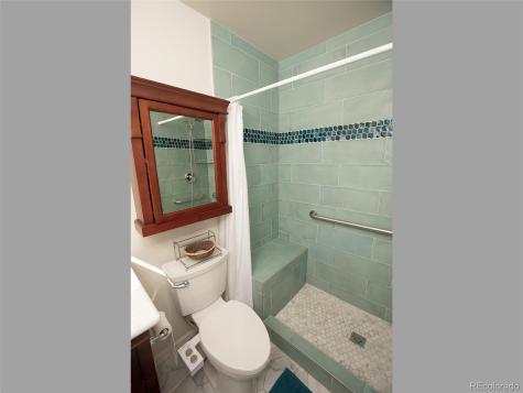 981 Oakwood Drive Castle Rock CO 80104