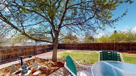 981 Oakwood Drive Castle Rock CO 80104