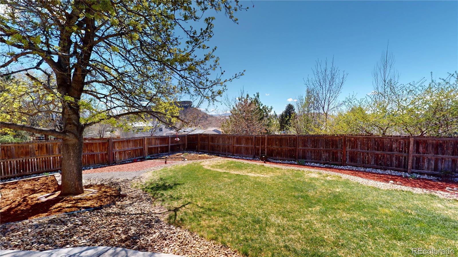 981 Oakwood Drive Castle Rock CO 80104