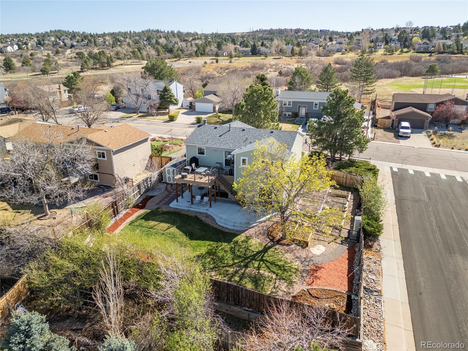 981 Oakwood Drive Castle Rock CO 80104