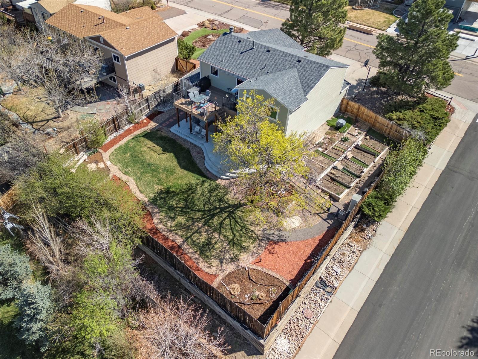 981 Oakwood Drive Castle Rock CO 80104