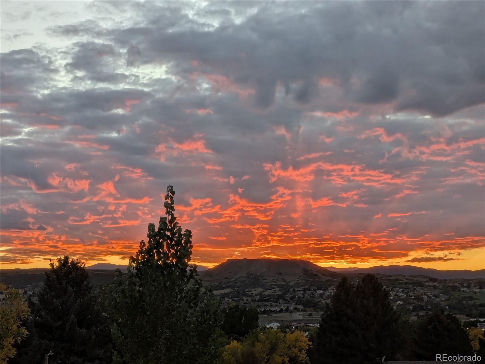 981 Oakwood Drive Castle Rock CO 80104