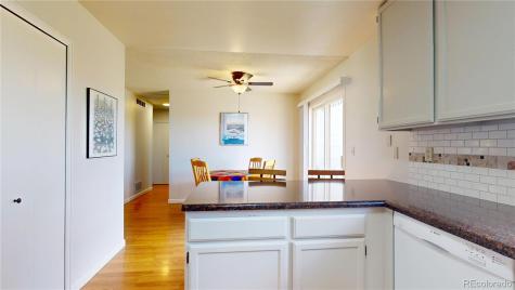 981 Oakwood Drive Castle Rock CO 80104