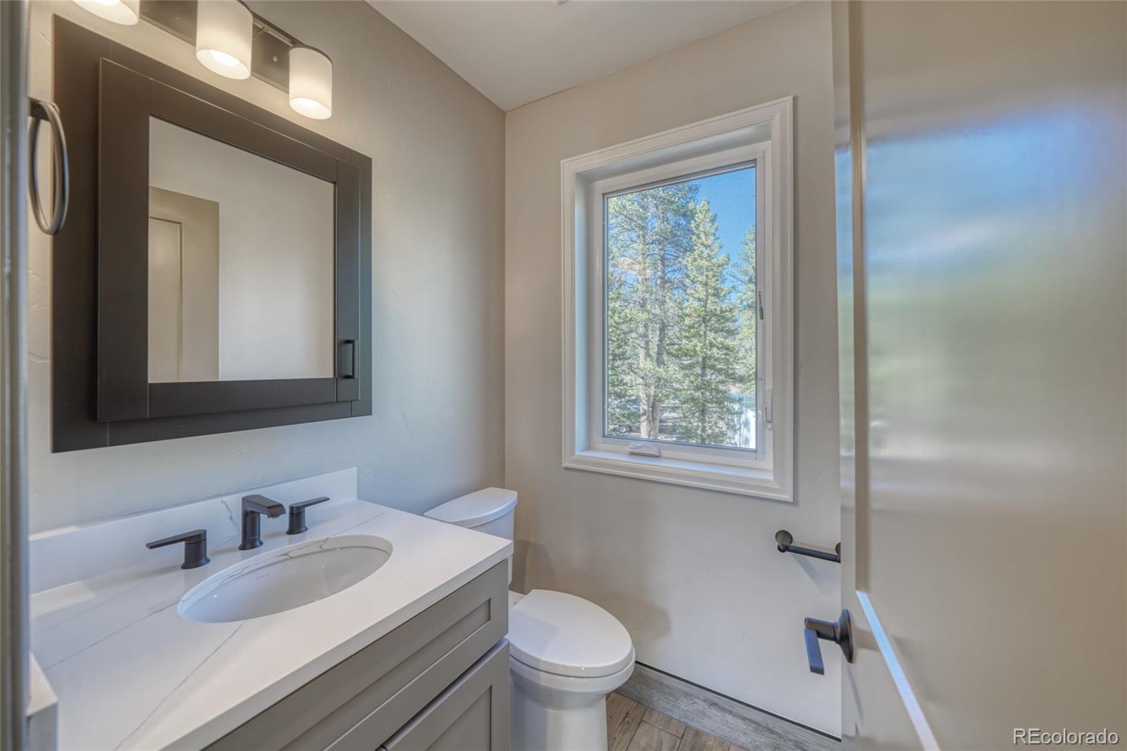 361 Birch Drive Leadville CO 80461