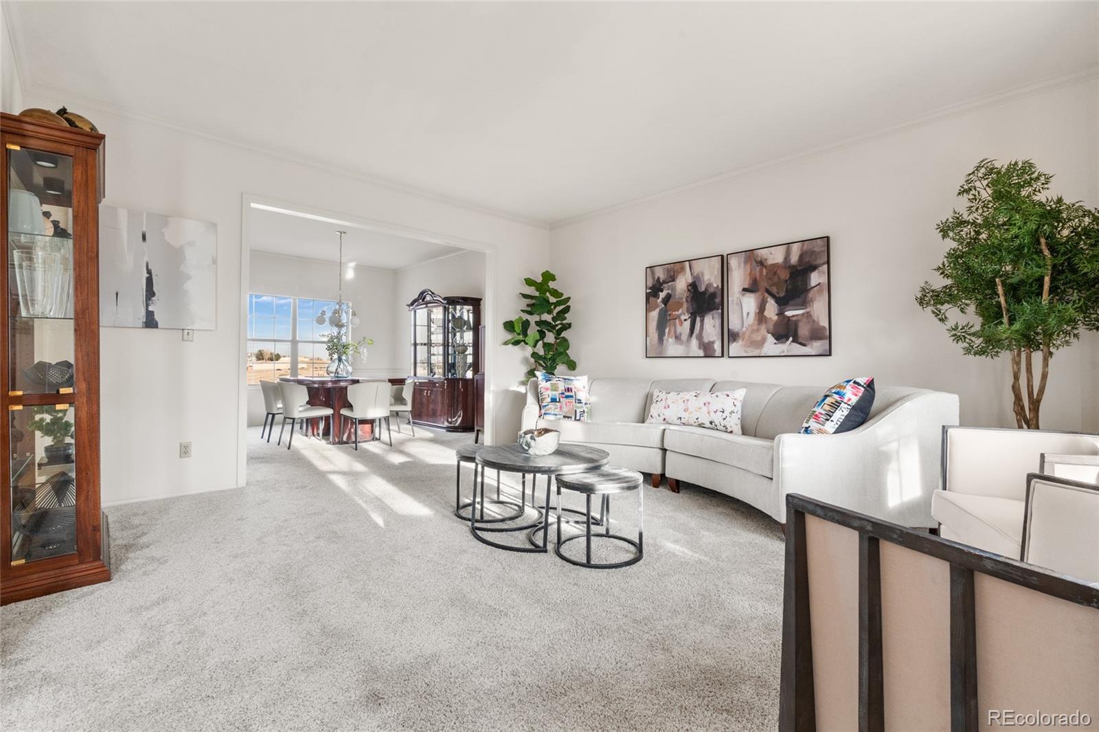 8586 Meadow Creek Drive Highlands Ranch CO 80126