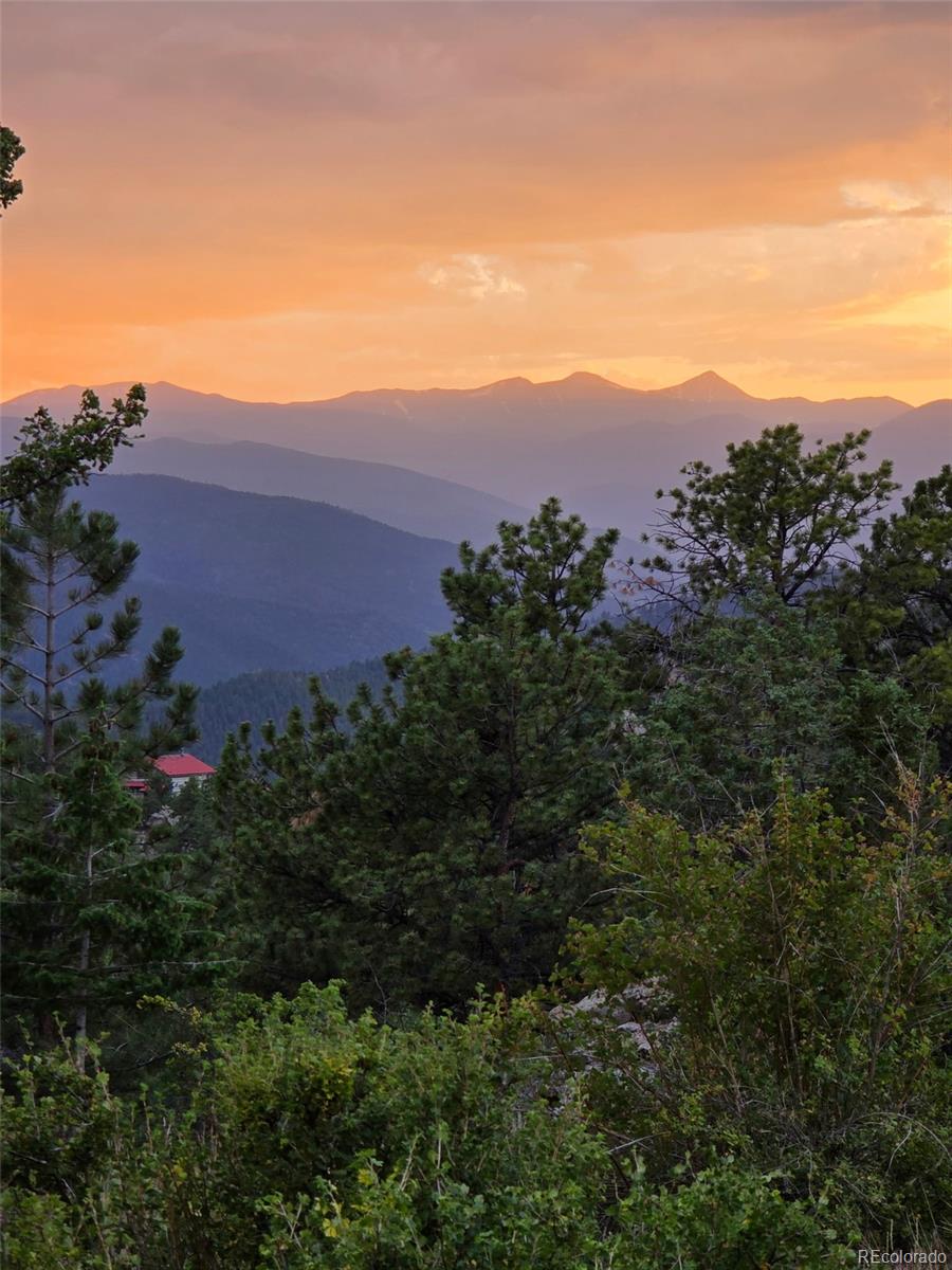 3965 Douglas Mountain Drive Golden CO 80403