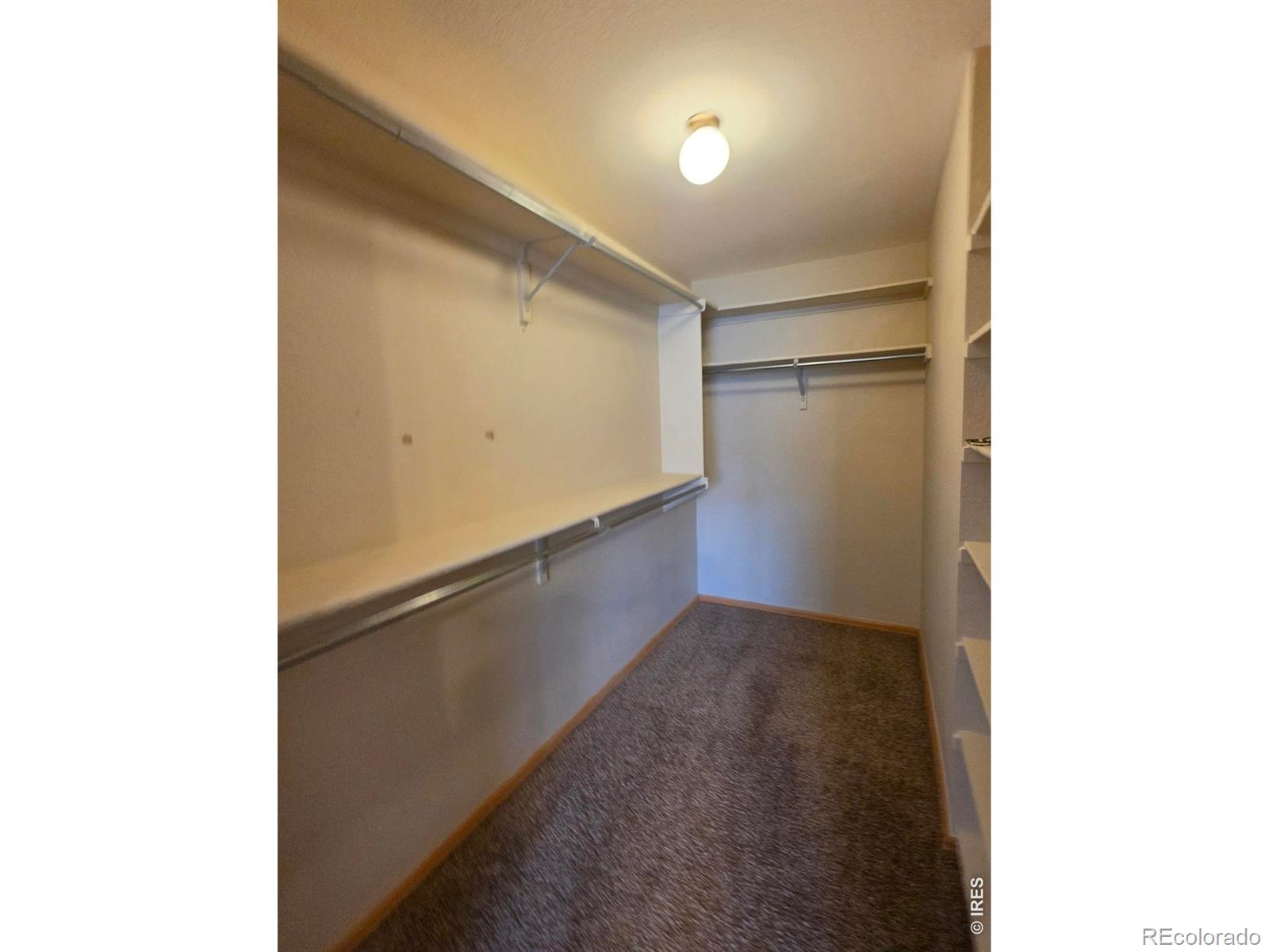 1526 Tulip Court Longmont CO 80501