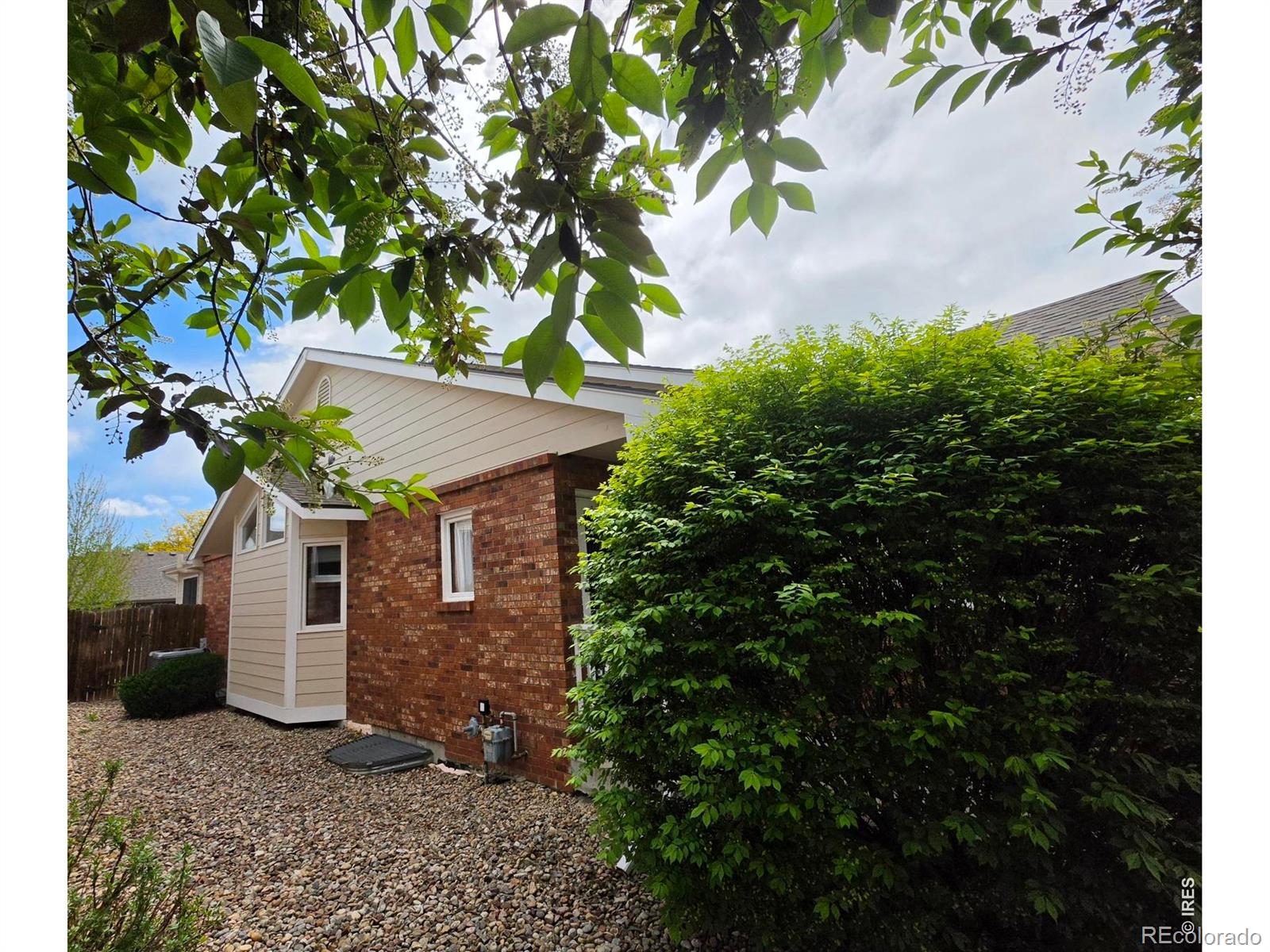 1526 Tulip Court Longmont CO 80501