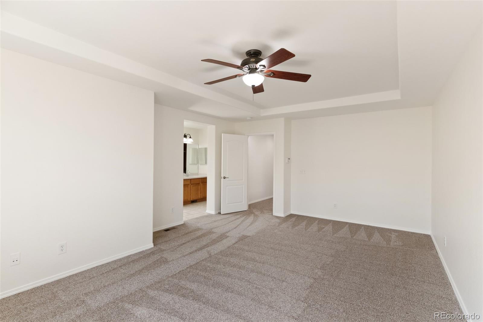 14181 Petrel Drive Colorado Springs CO 80921