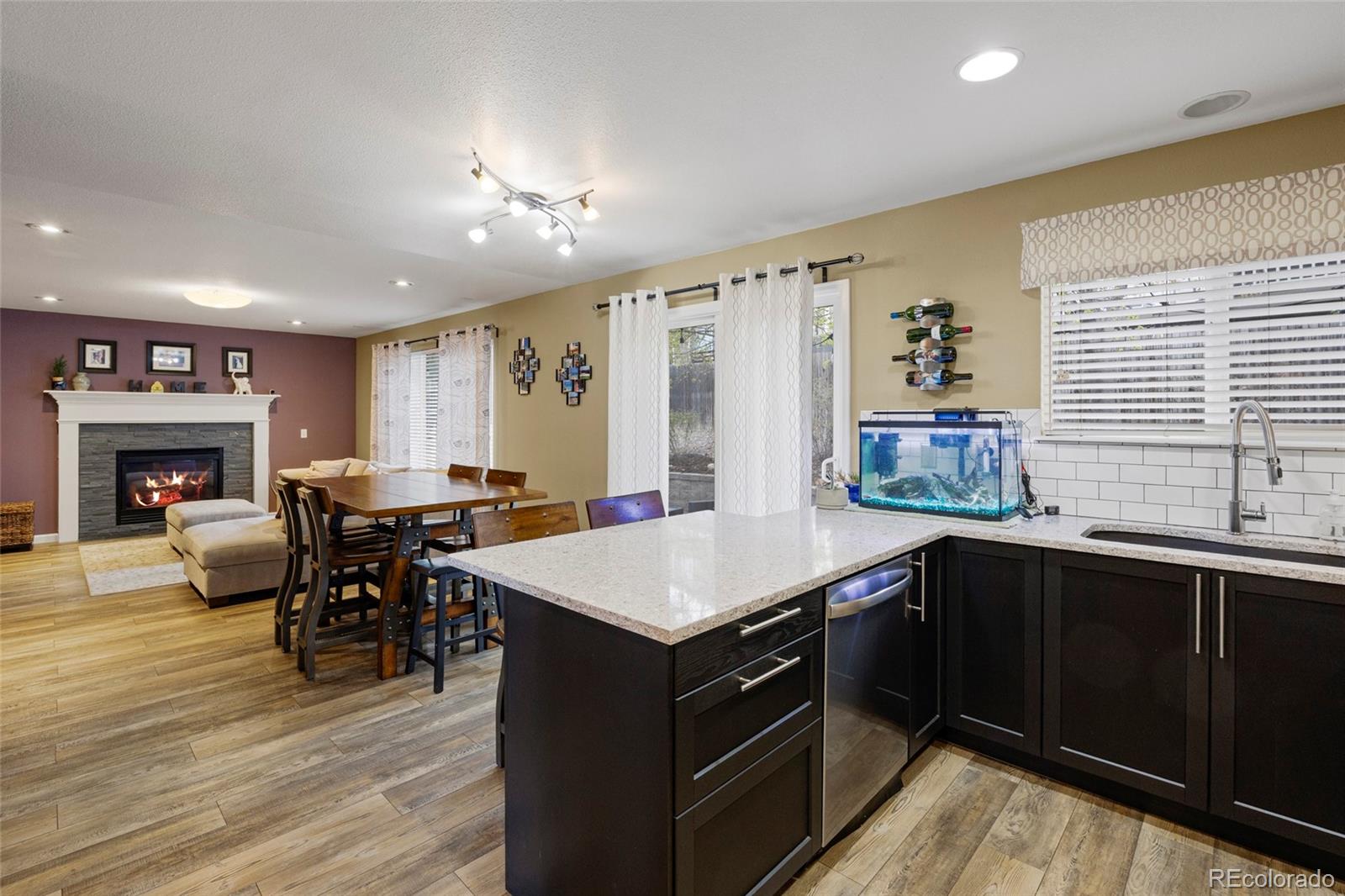 21341 White Ash Court Parker CO 80138