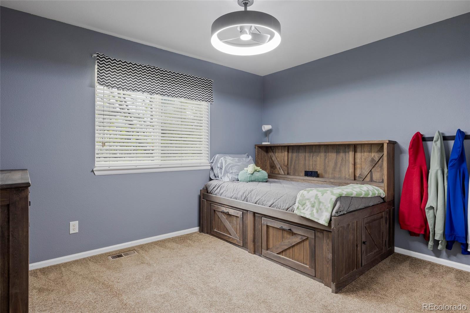 21341 White Ash Court Parker CO 80138