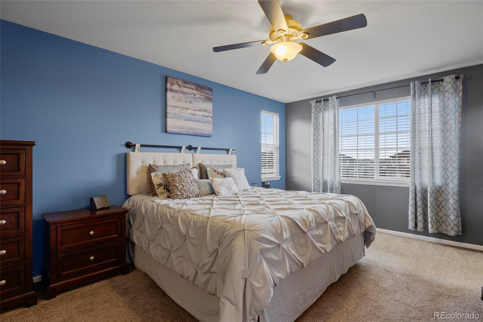 21341 White Ash Court Parker CO 80138