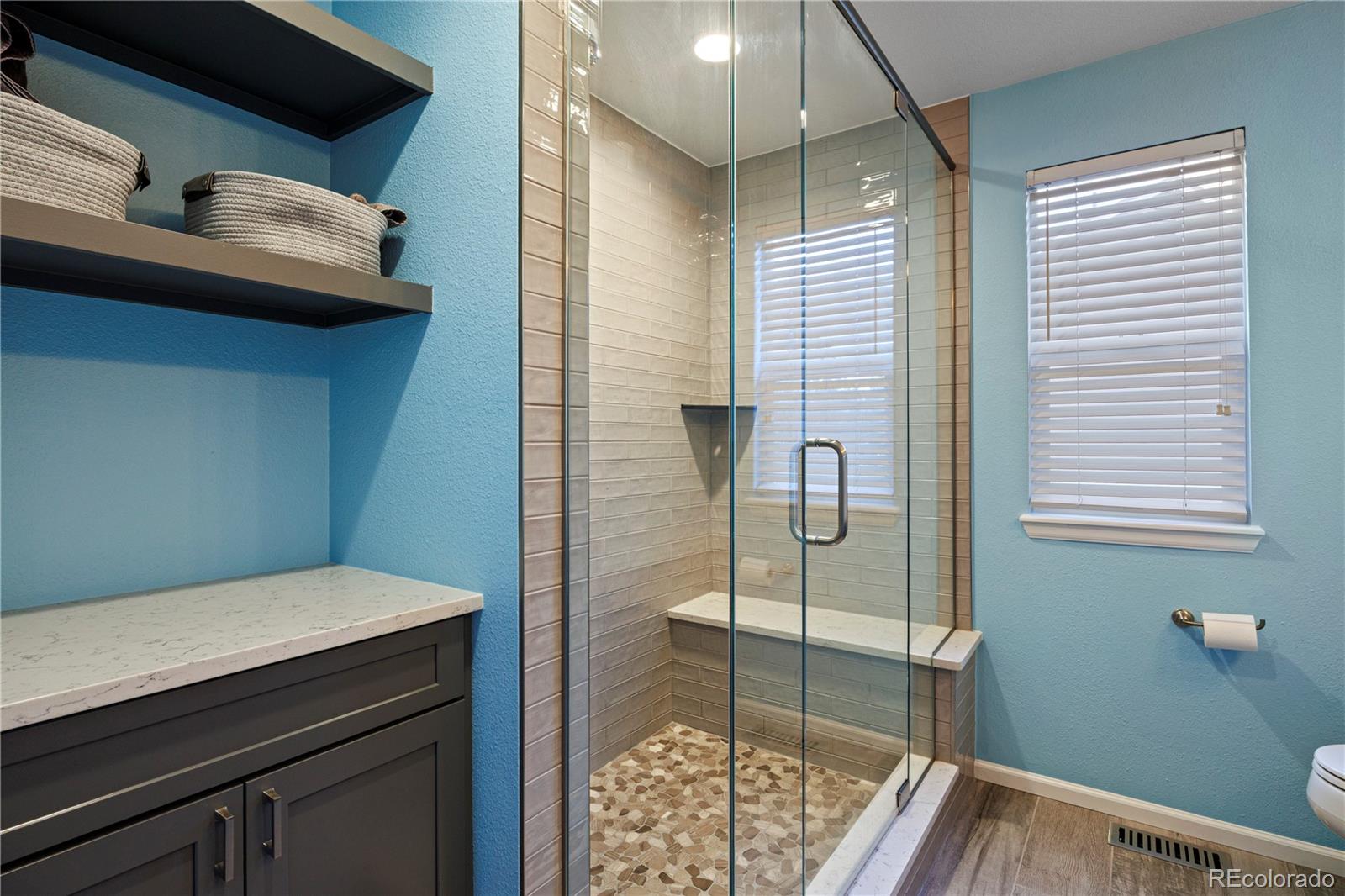 21341 White Ash Court Parker CO 80138