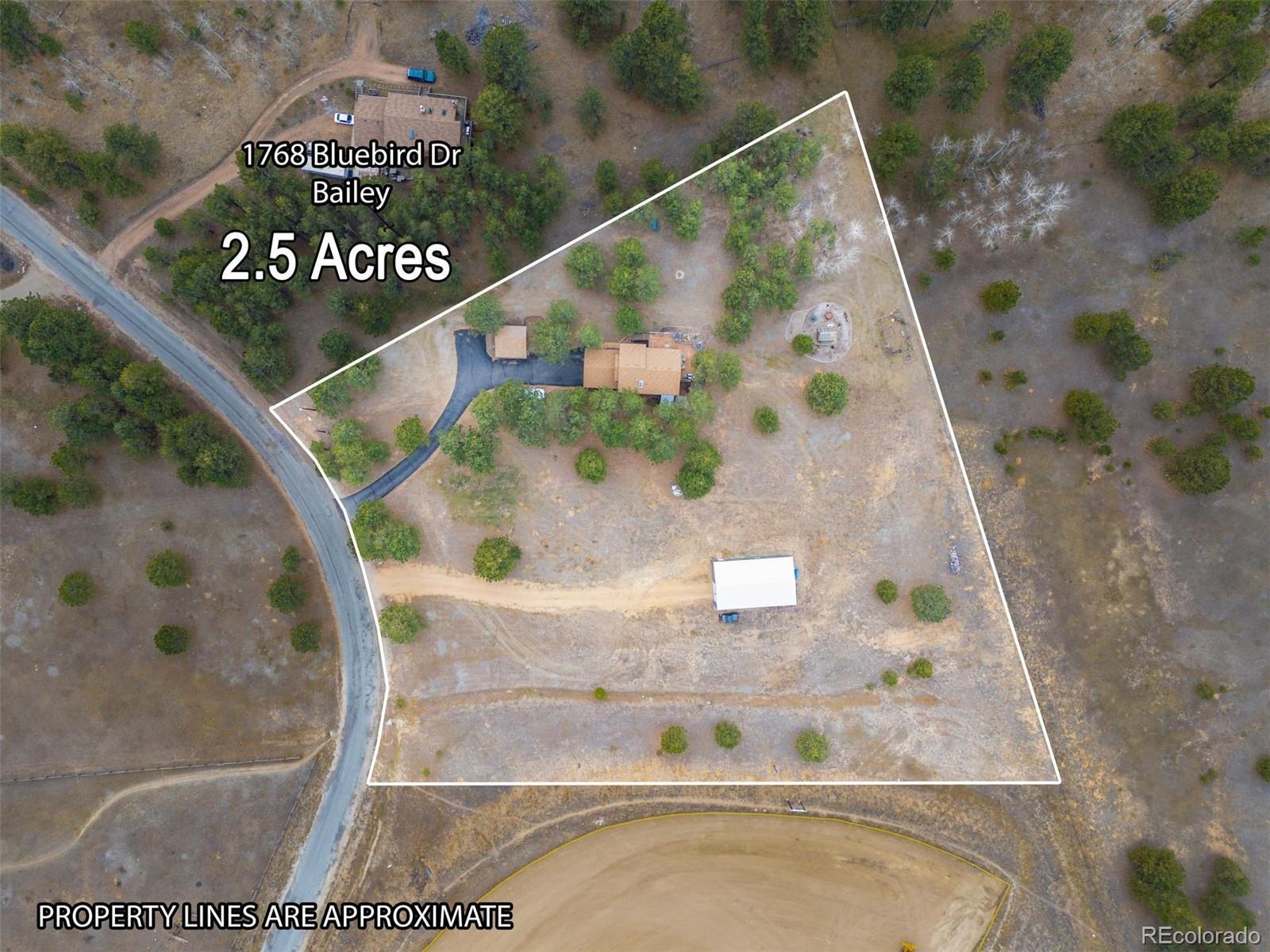 1768 Bluebird Drive Bailey CO 80421