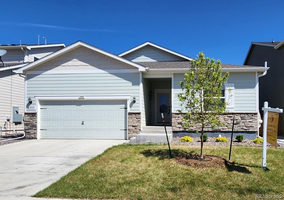 2303 Angus Street Mead CO 80542