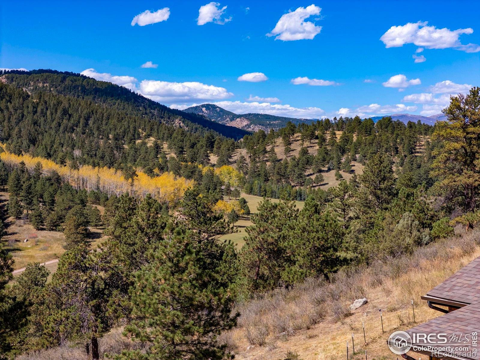 681 Bitterroot Gulch Road Loveland CO 80537