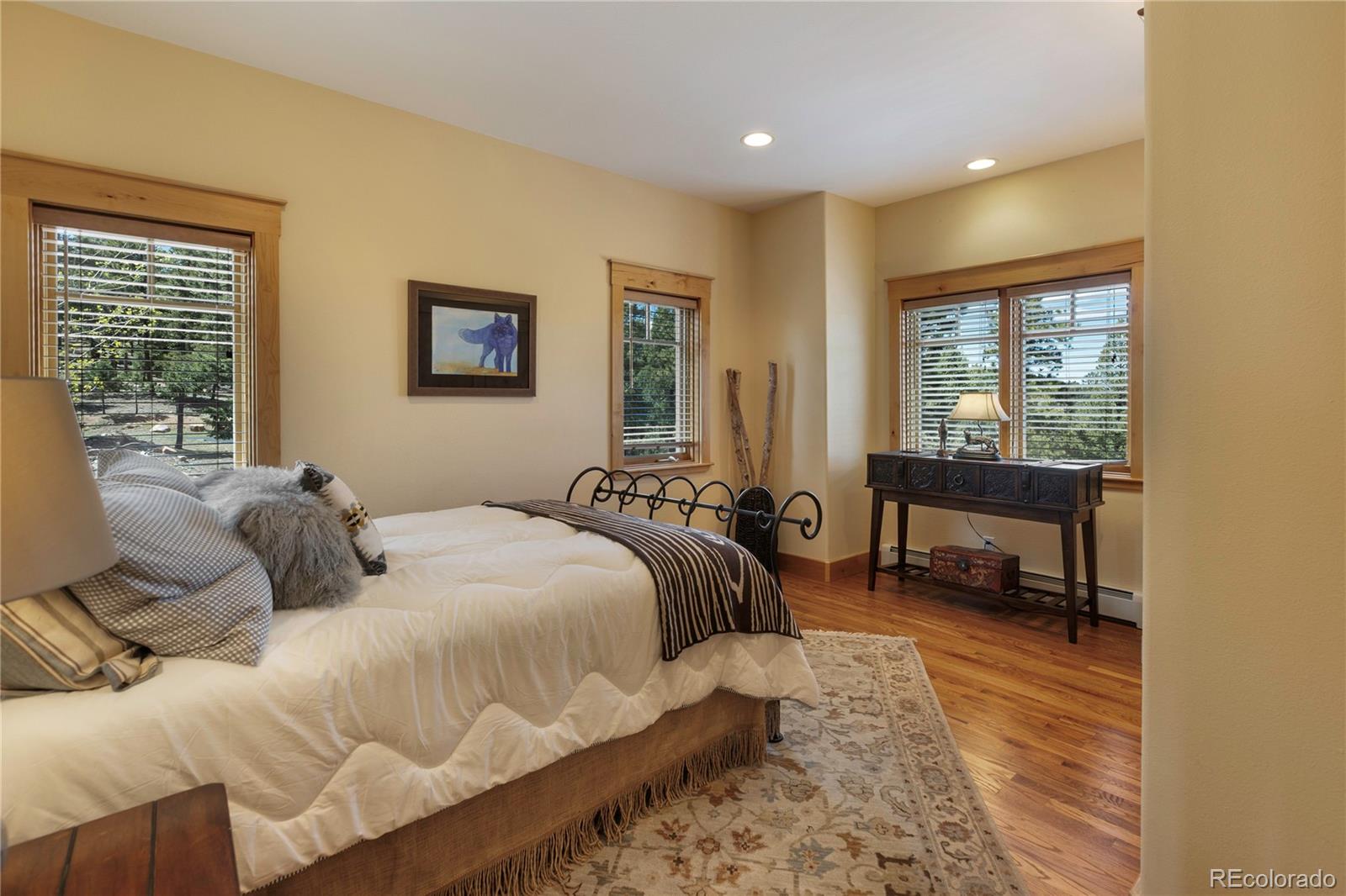 368 Patricia Mews Woodland Park CO 80863