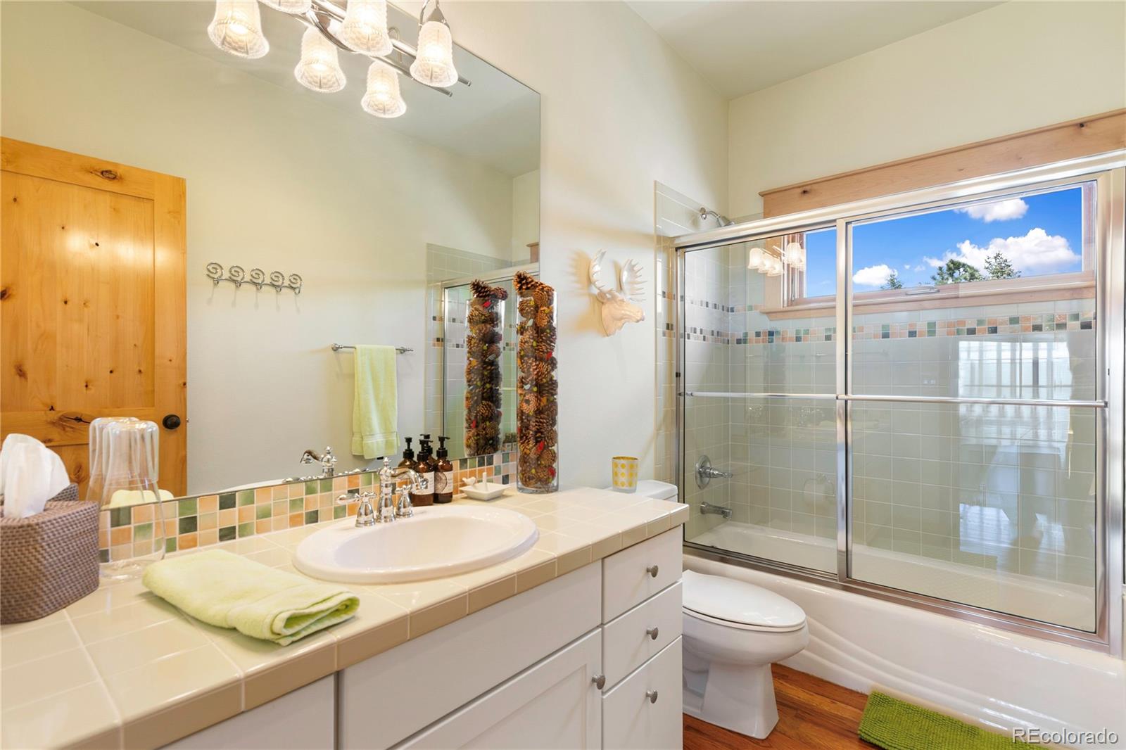 368 Patricia Mews Woodland Park CO 80863