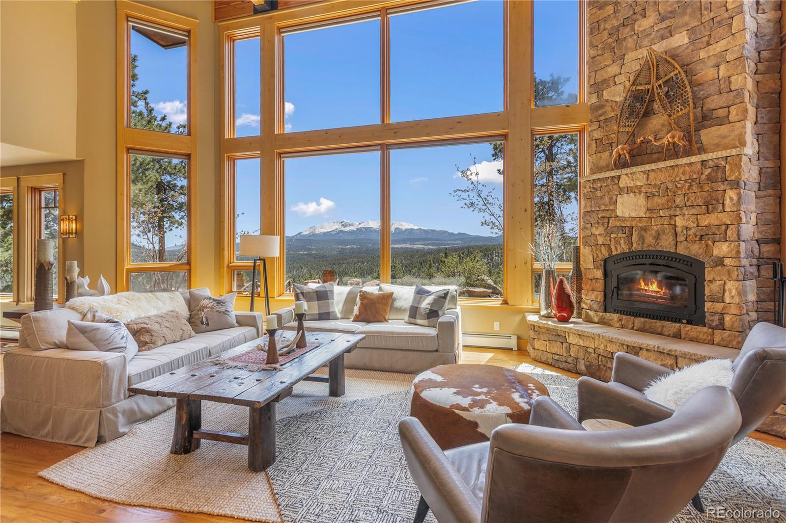368 Patricia Mews Woodland Park CO 80863