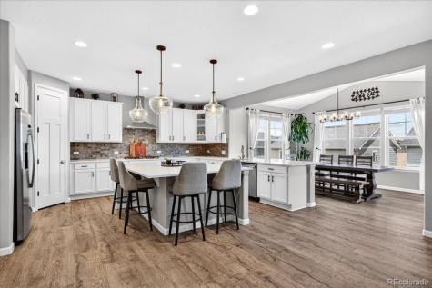 5176 Ditmars Trail Castle Rock CO 80104