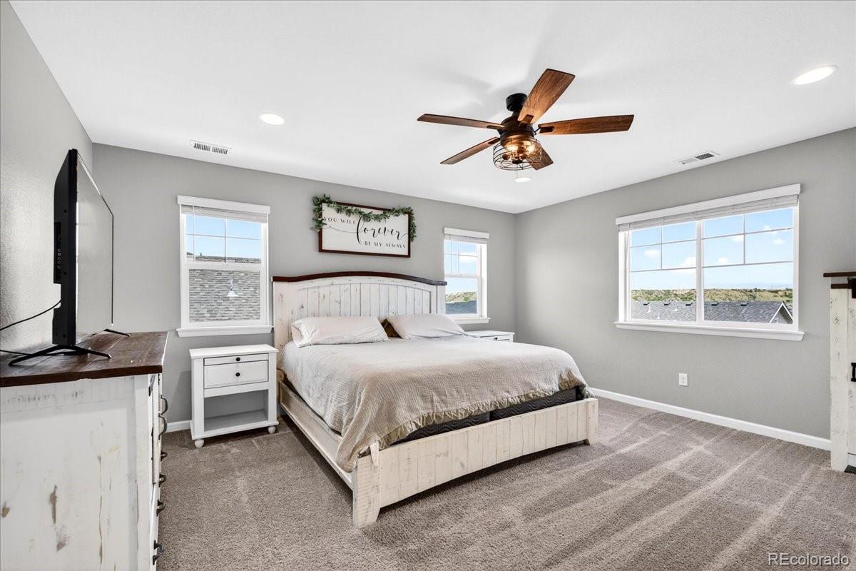 5176 Ditmars Trail Castle Rock CO 80104