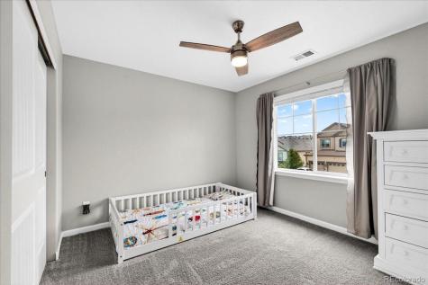 5176 Ditmars Trail Castle Rock CO 80104