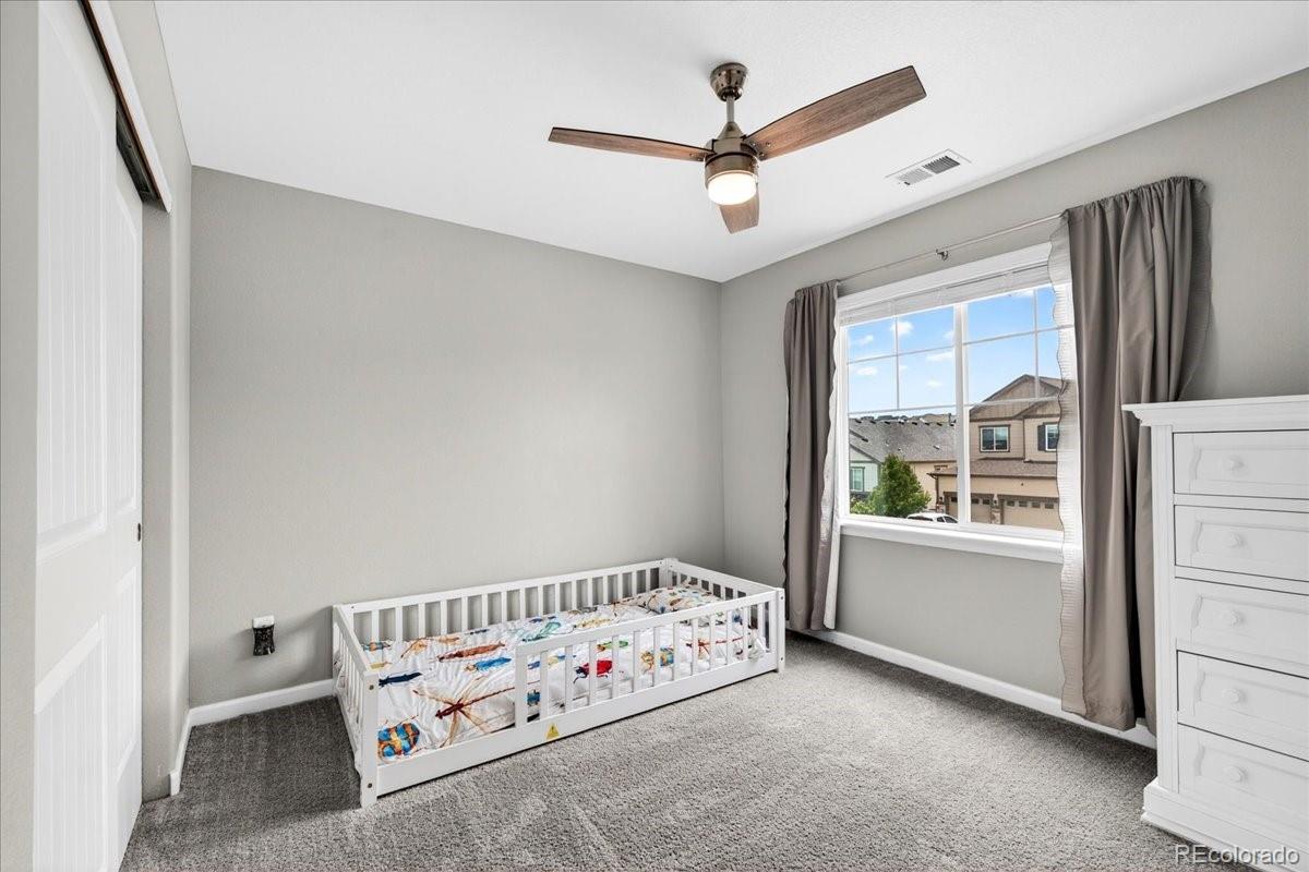 5176 Ditmars Trail Castle Rock CO 80104