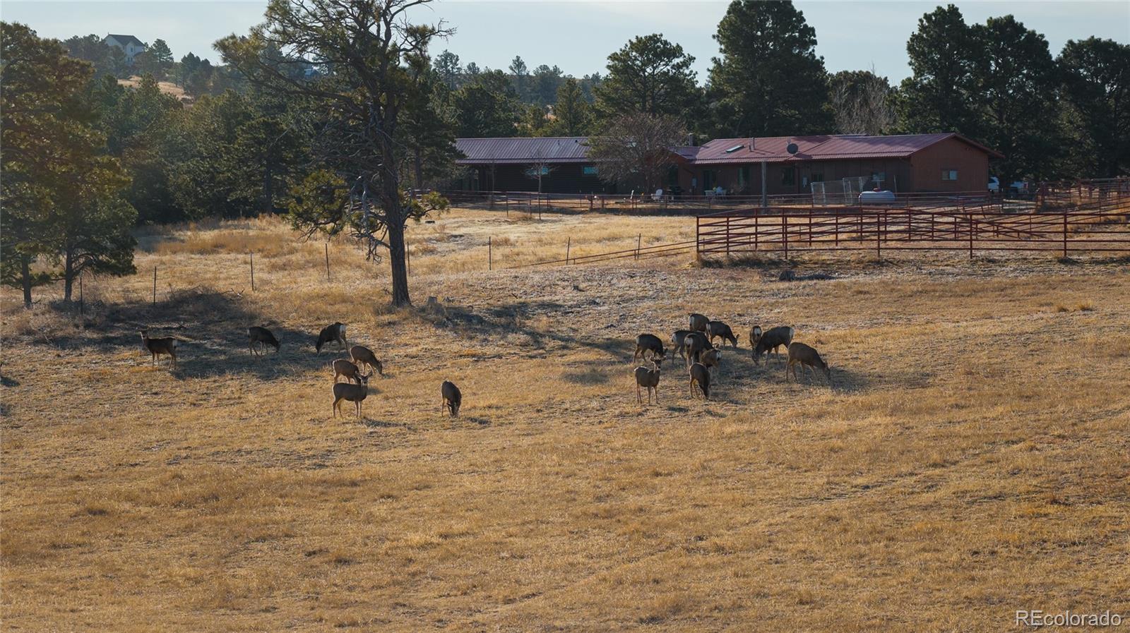 24063 County Road 122 Ramah CO 80832