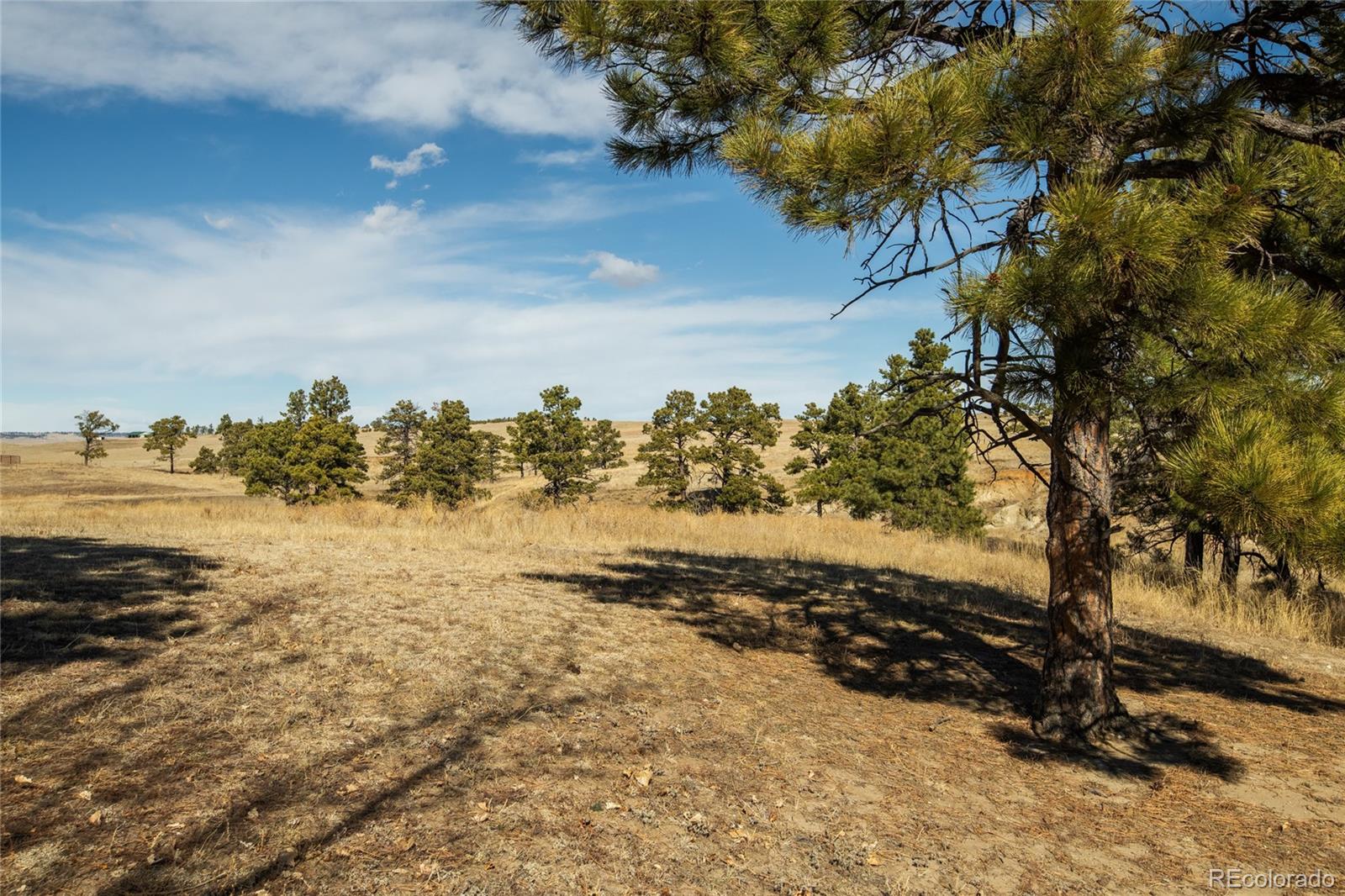 24063 County Road 122 Ramah CO 80832