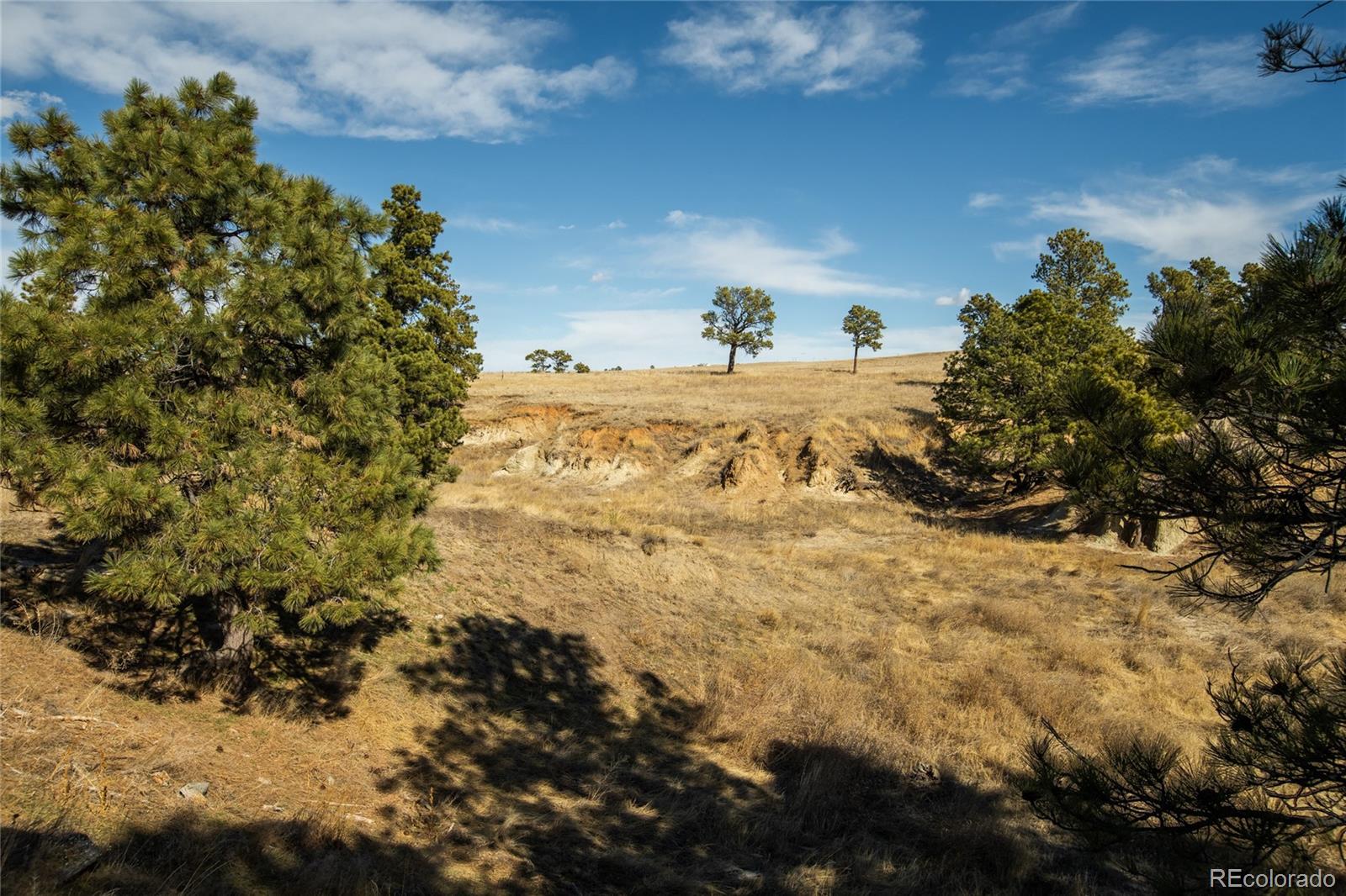 24063 County Road 122 Ramah CO 80832