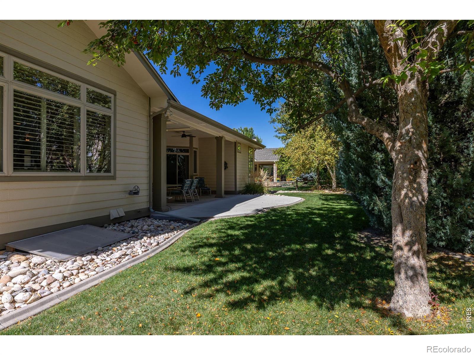 1577 Bison Run Drive Windsor CO 80550