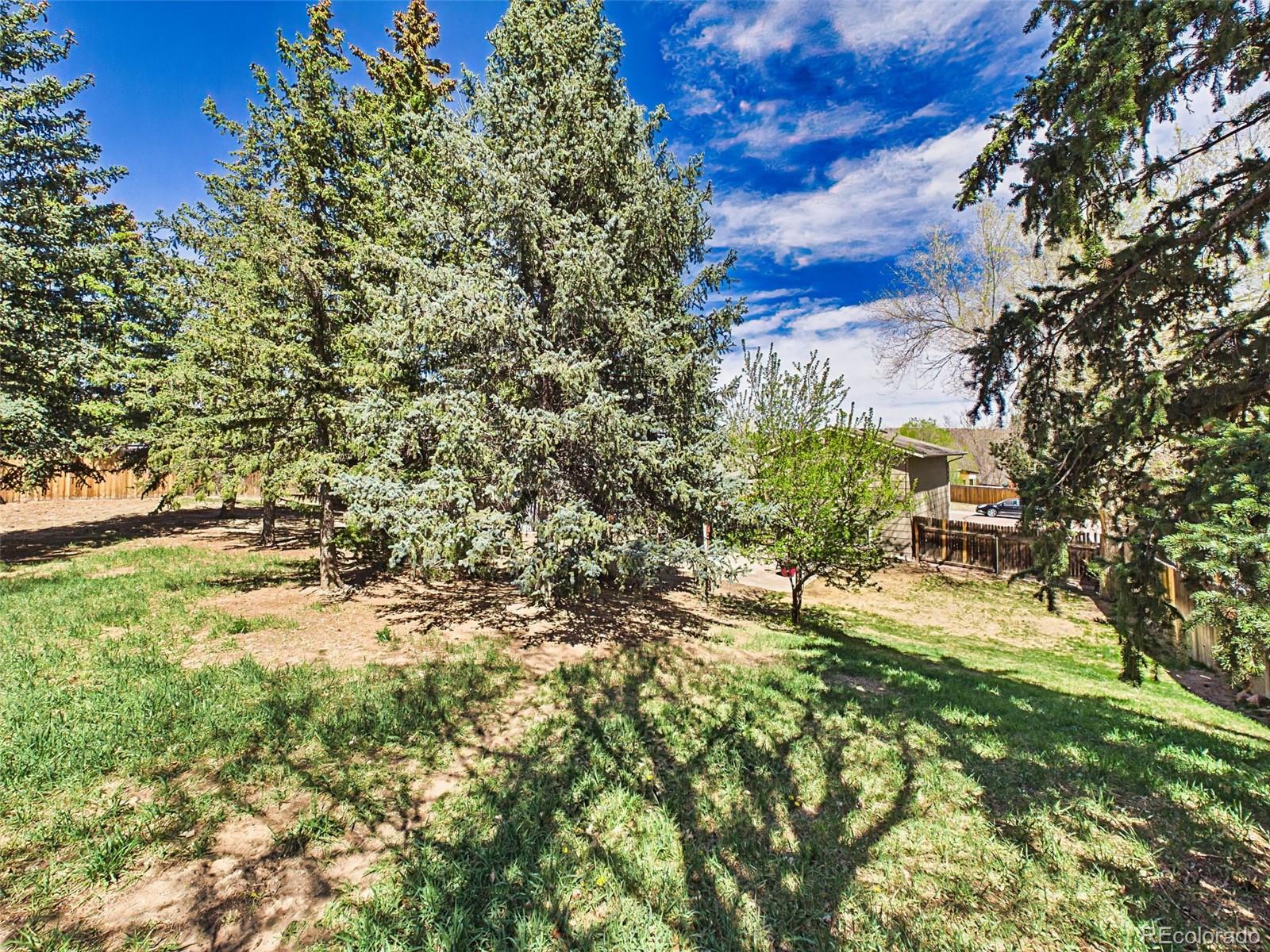4311 S Delighted Circle Colorado Springs CO 80917