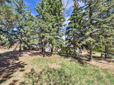 4311 S Delighted Circle Colorado Springs CO 80917