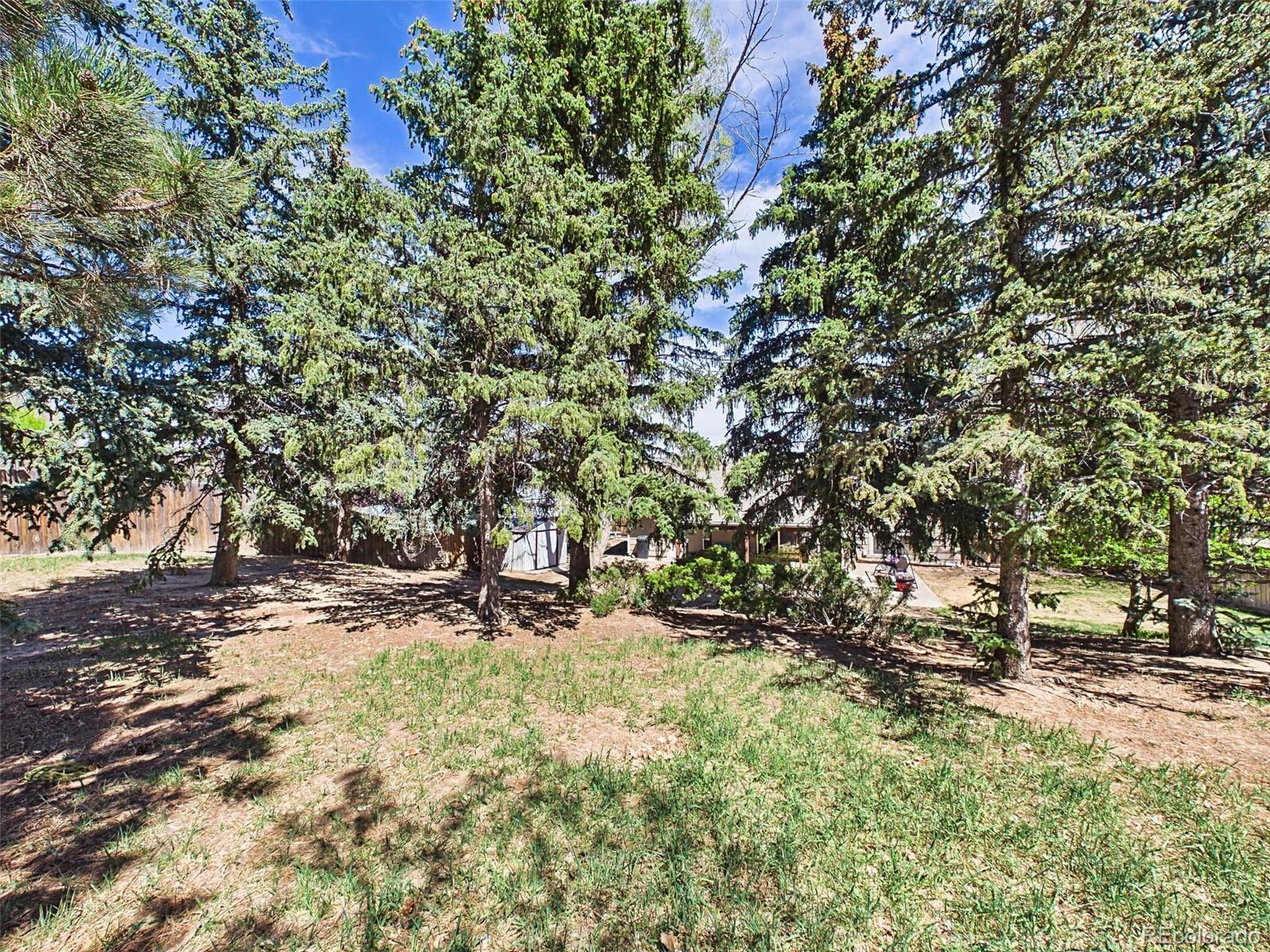 4311 S Delighted Circle Colorado Springs CO 80917