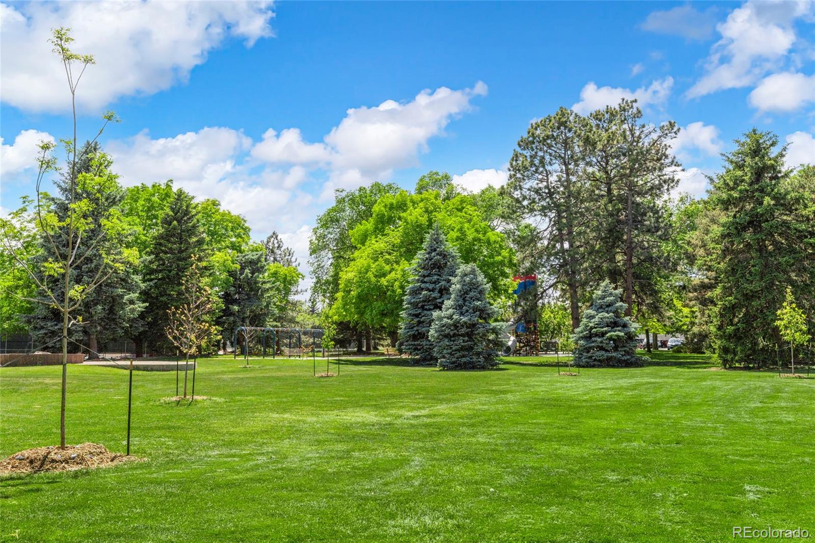 1600 Balsam Street Lakewood CO 80214