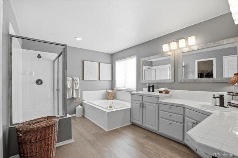 10330 Lions Path Lone Tree CO 80124