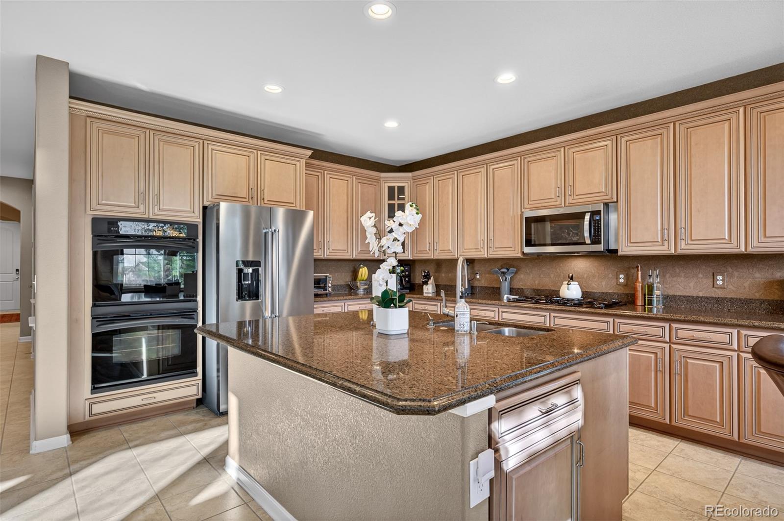 2943 Black Canyon Way Castle Rock CO 80109