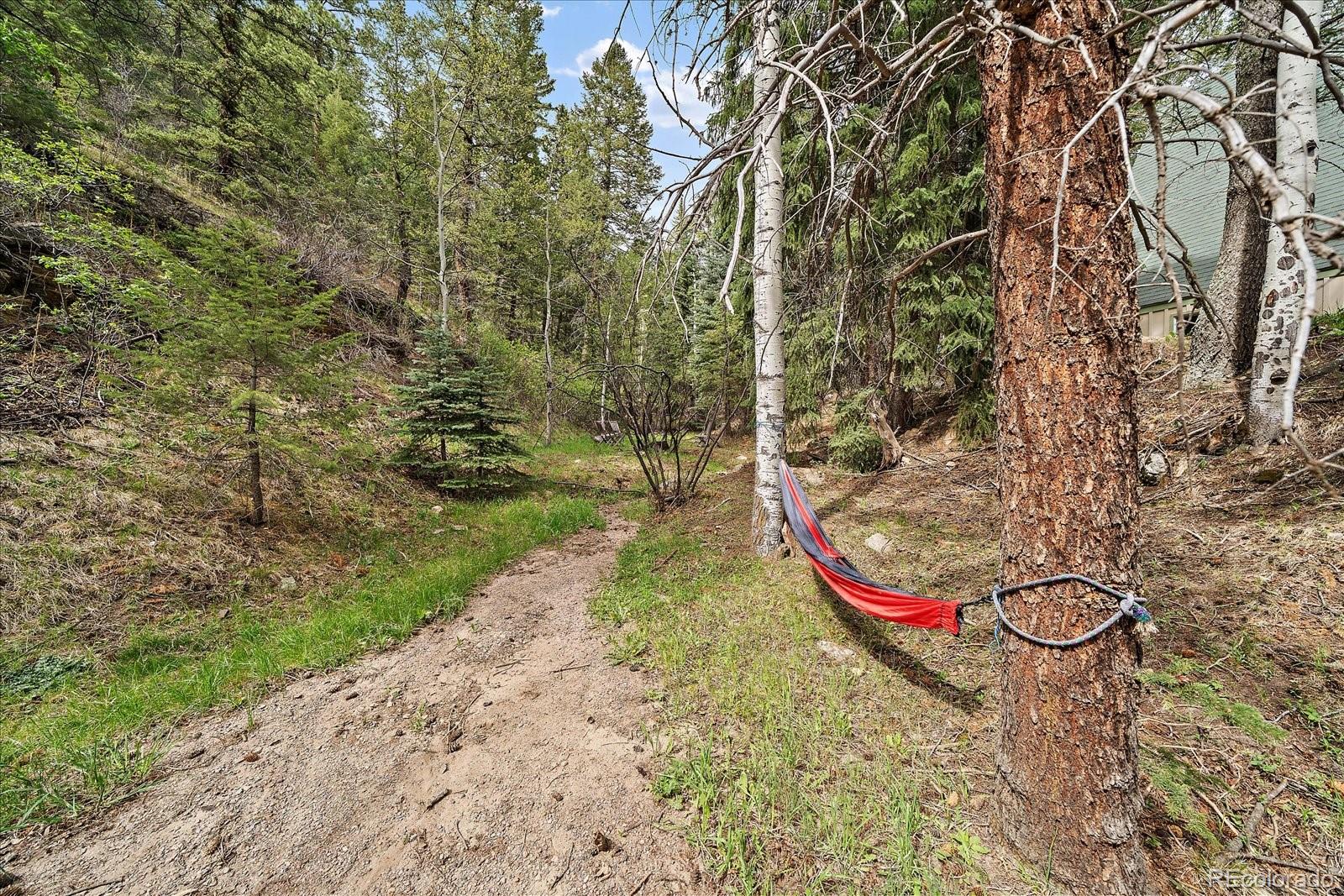 307 Snyder Mountain Road Evergreen CO 80439
