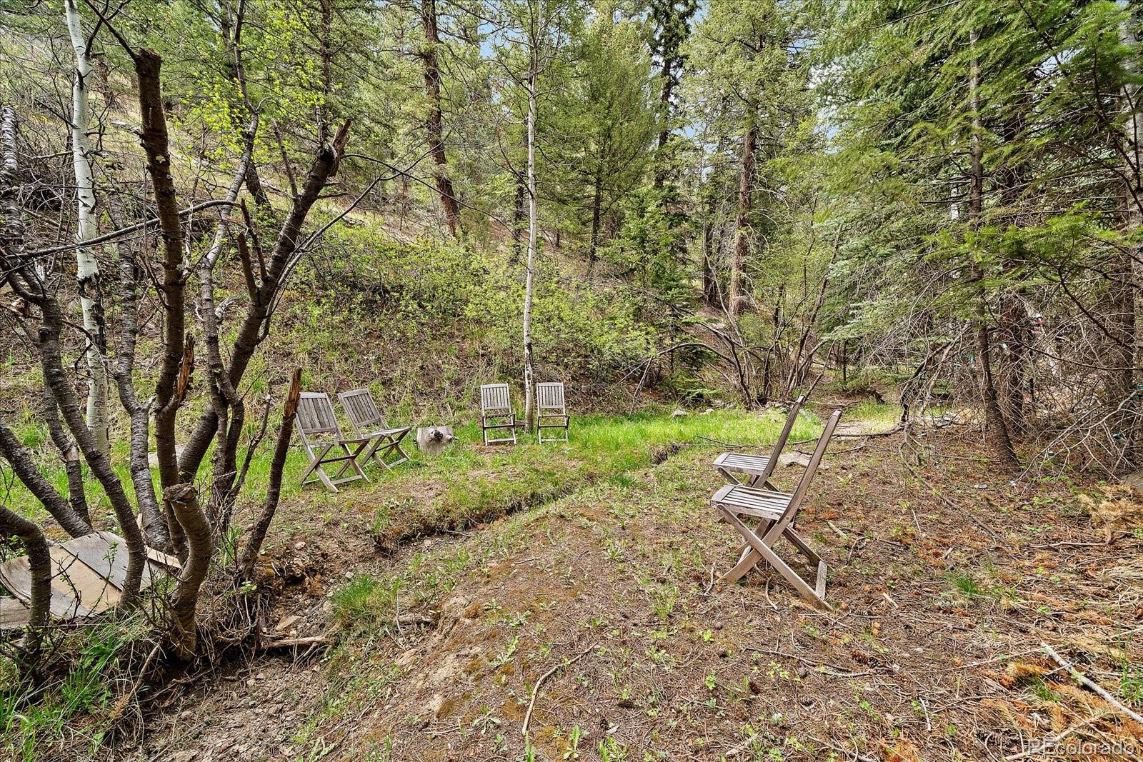 307 Snyder Mountain Road Evergreen CO 80439