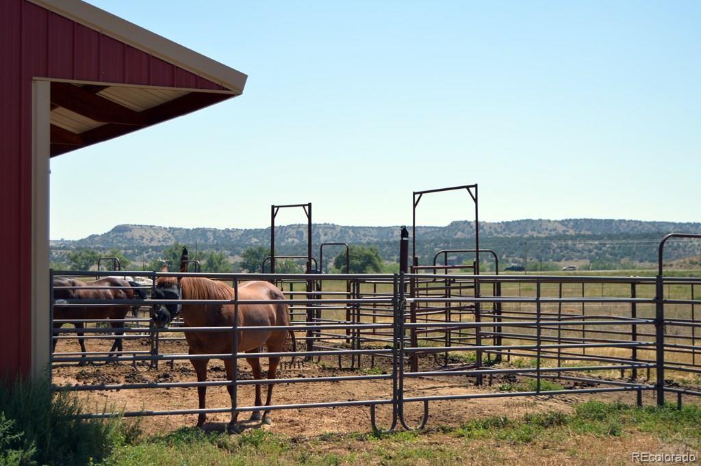 6053 Muddy Creek Road Pueblo CO 81004