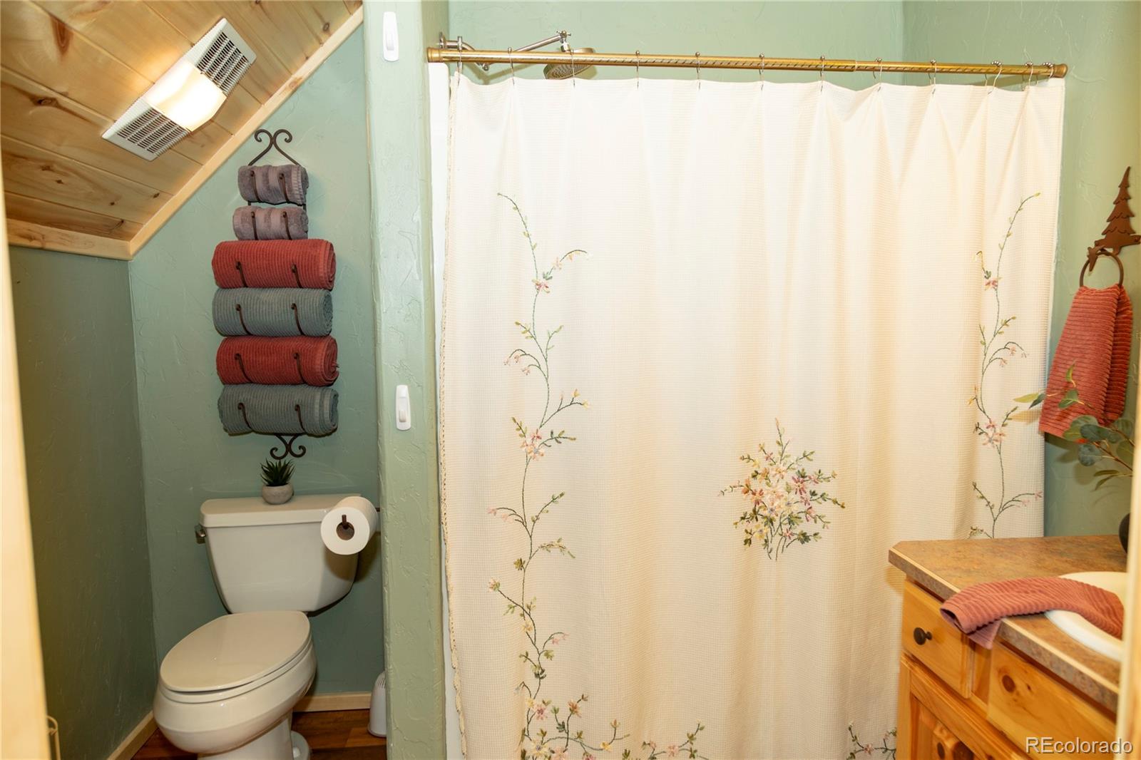258 Diamond Road Creede CO 81130