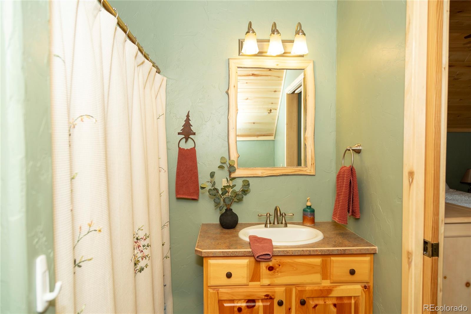 258 Diamond Road Creede CO 81130