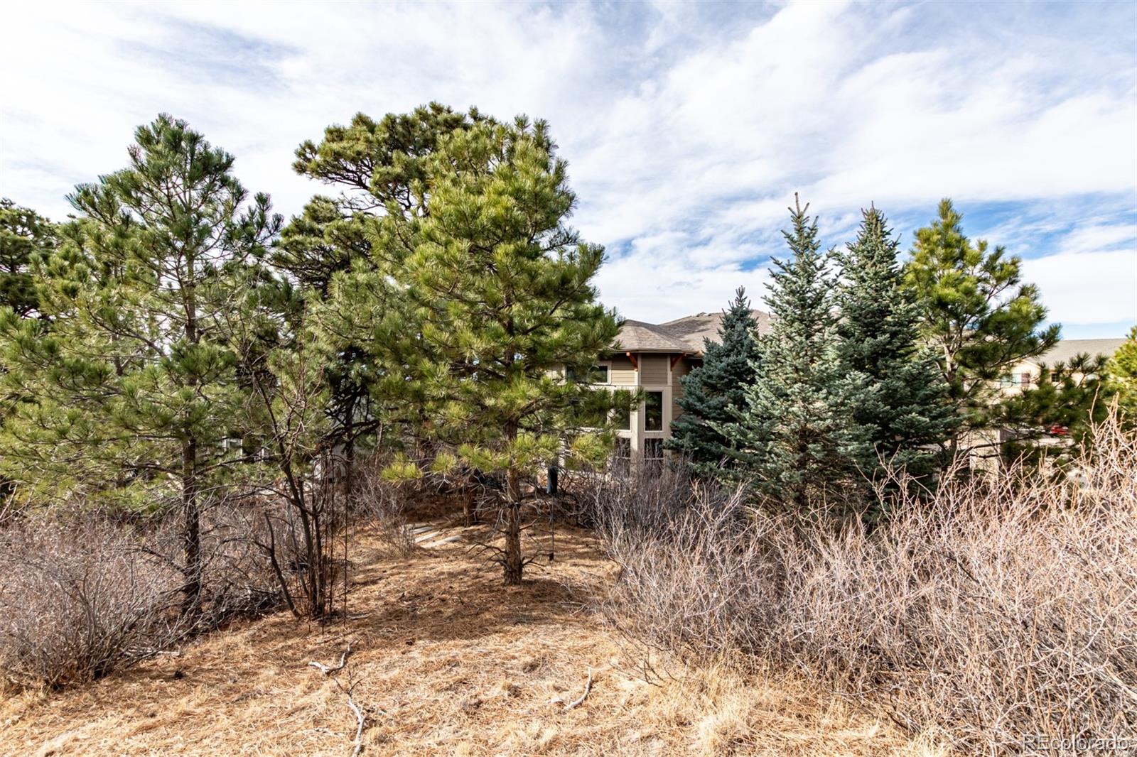 20166 E Shady Ridge Road Parker CO 80134