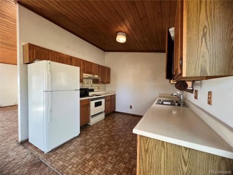 52 Deer Trail Drive Bailey CO 80421