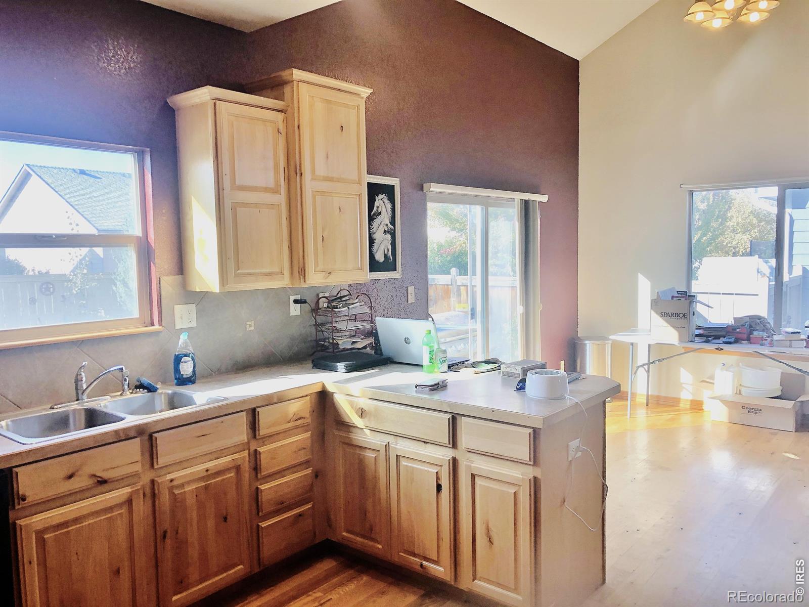 3243 Ambush Drive Wellington CO 80549