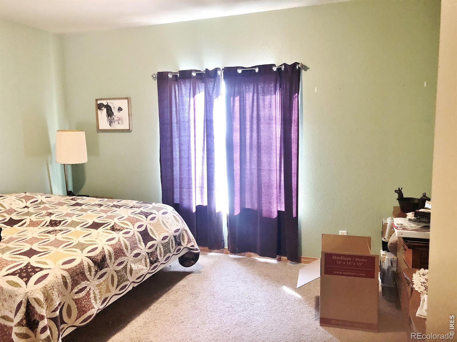 3243 Ambush Drive Wellington CO 80549