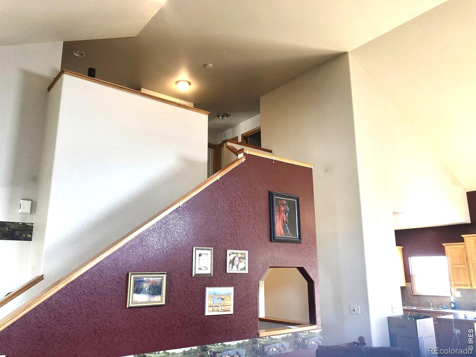 3243 Ambush Drive Wellington CO 80549