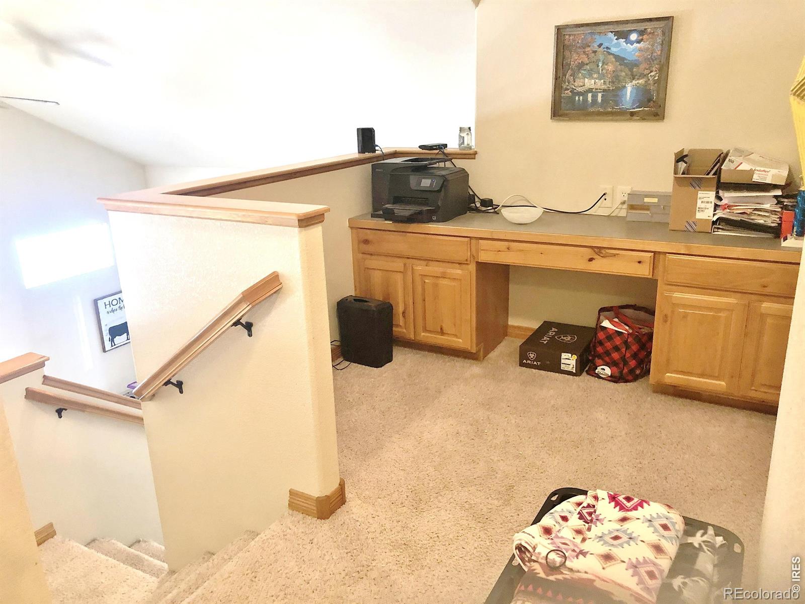 3243 Ambush Drive Wellington CO 80549